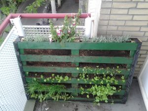cafe Geld rubber Onderhoud Verticale tuin – De Groene Hoogte